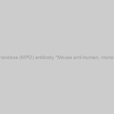 Image of Anti-Myeloperoxidase (MPO) antibody *Mouse anti-human, monoclonal IgG2a*